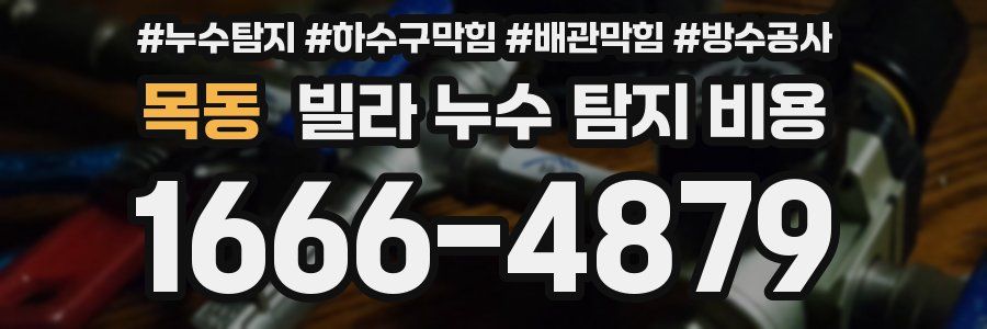 목동 빌라 누수 탐지 비용