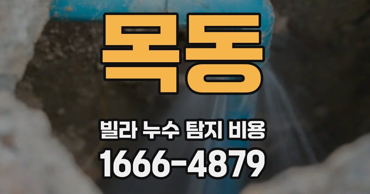 목동 빌라 누수 탐지 비용