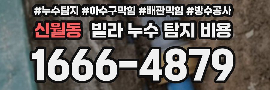 신월동 빌라 누수 탐지 비용