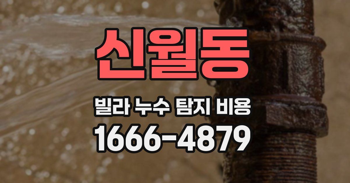 신월동 빌라 누수 탐지 비용