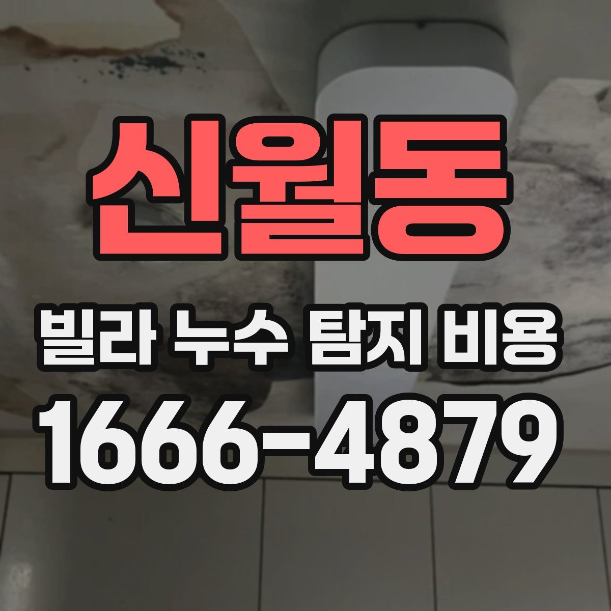 신월동 빌라 누수 탐지 비용