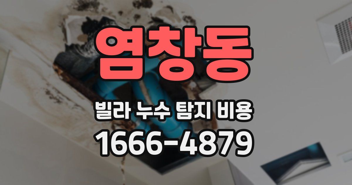 염창동 빌라 누수 탐지 비용