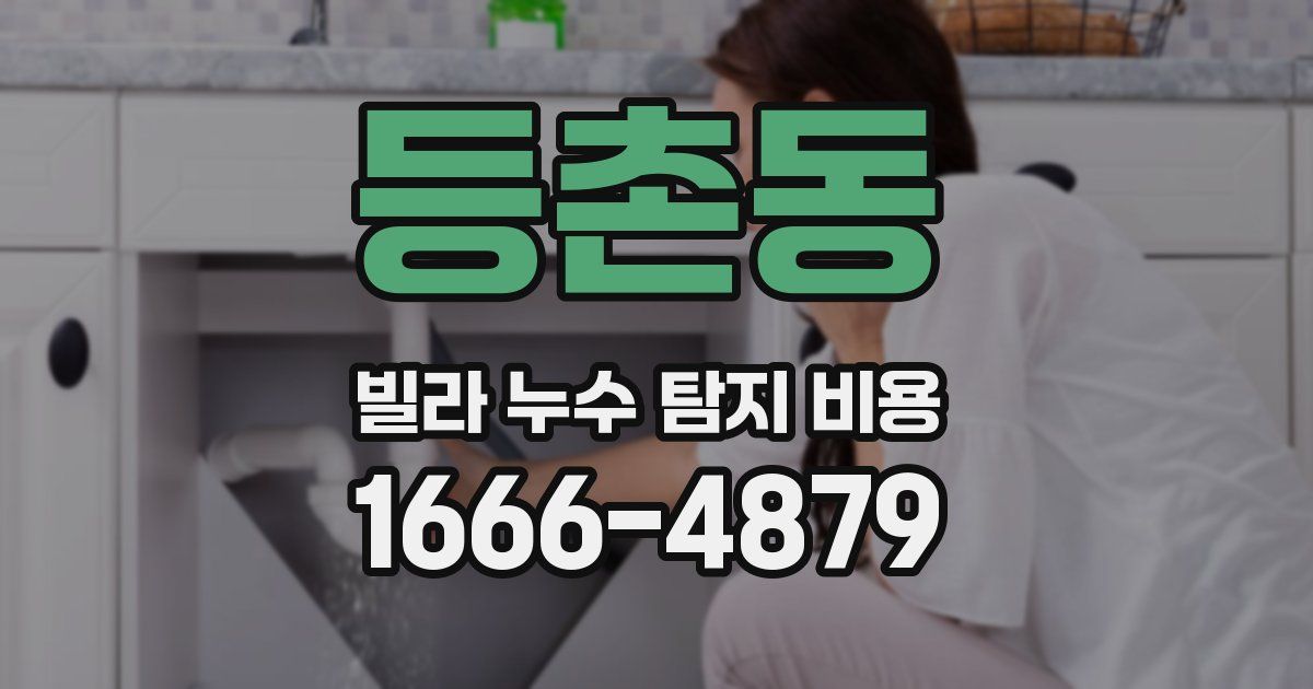 등촌동 빌라 누수 탐지 비용