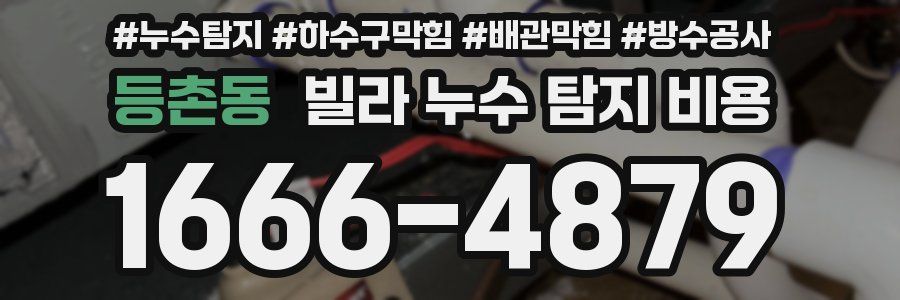 등촌동 빌라 누수 탐지 비용
