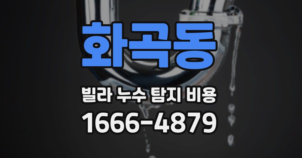 화곡동 빌라 누수 탐지 비용