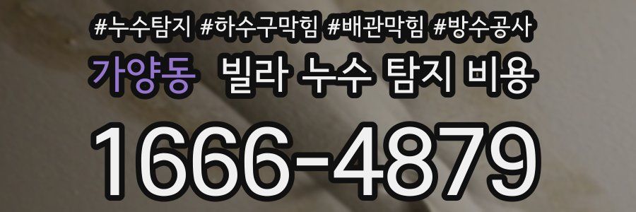 가양동 빌라 누수 탐지 비용