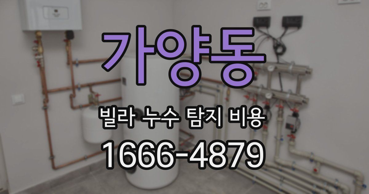 가양동 빌라 누수 탐지 비용