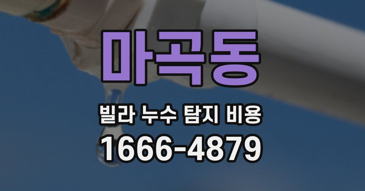 마곡동 빌라 누수 탐지 비용