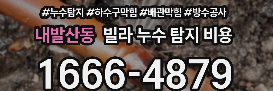 내발산동 빌라 누수 탐지 비용