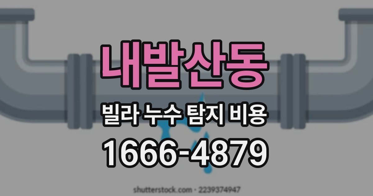내발산동 빌라 누수 탐지 비용