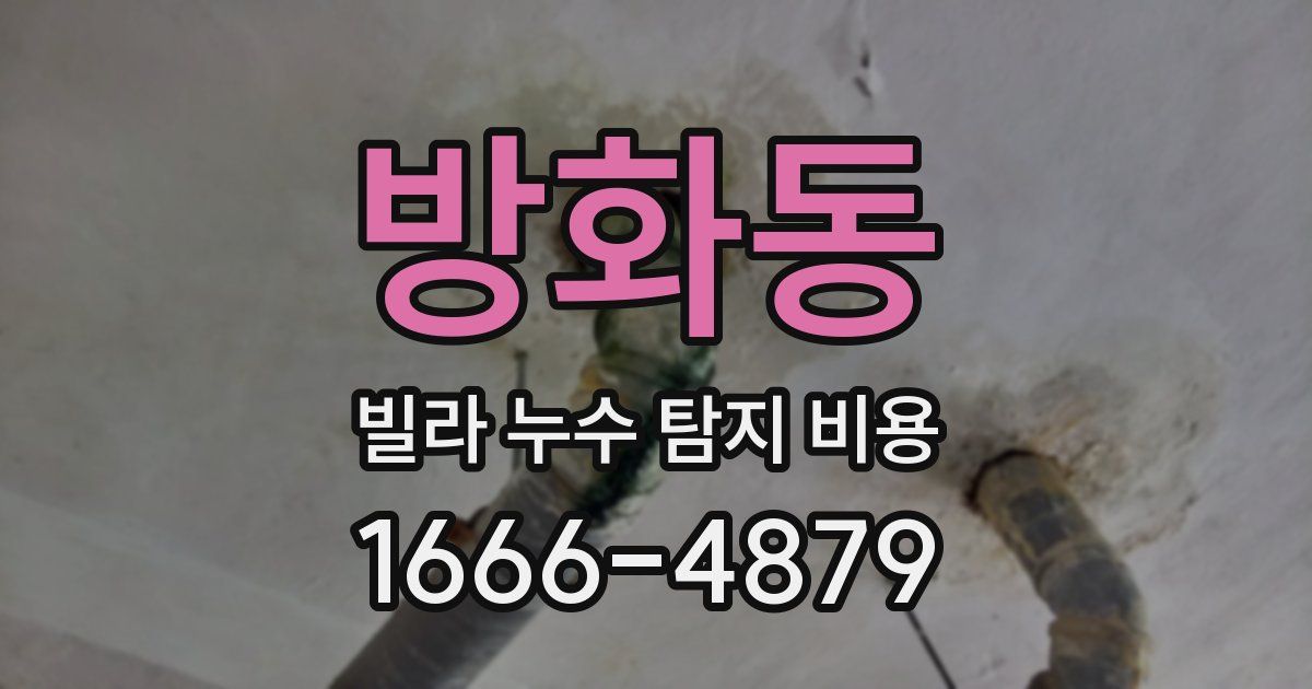방화동 빌라 누수 탐지 비용