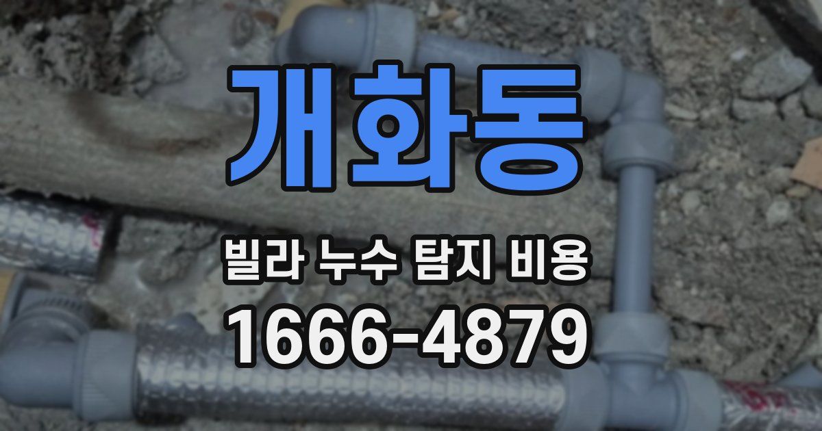 개화동 빌라 누수 탐지 비용