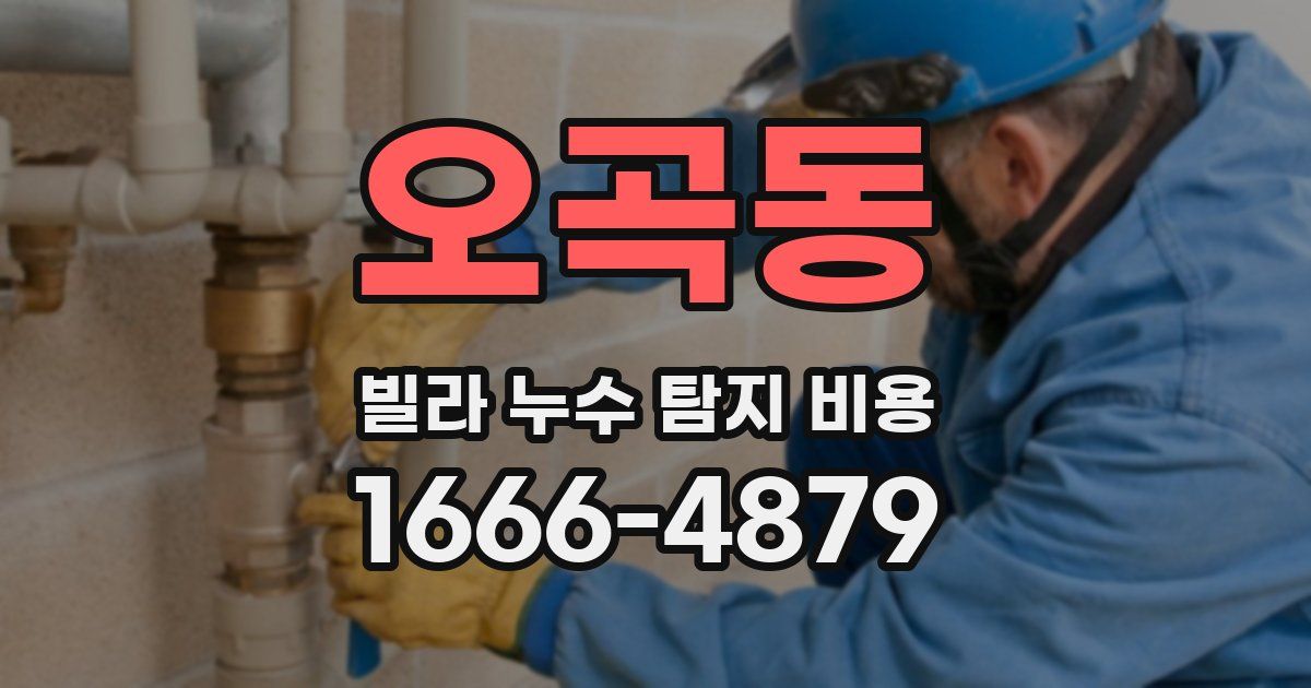 오곡동 빌라 누수 탐지 비용