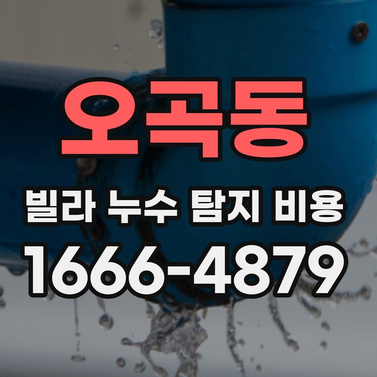 오곡동 빌라 누수 탐지 비용