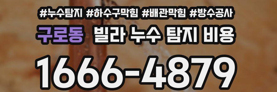 구로동 빌라 누수 탐지 비용
