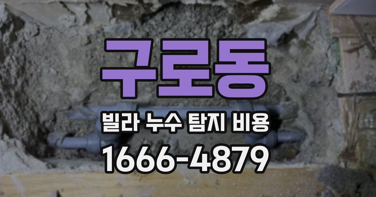 구로동 빌라 누수 탐지 비용