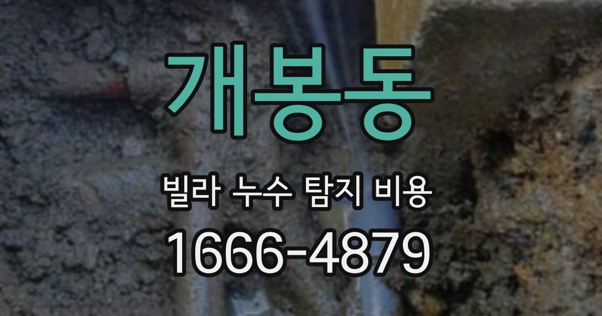 개봉동 빌라 누수 탐지 비용