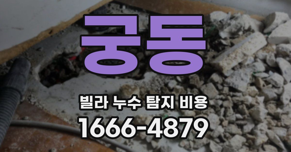 궁동 빌라 누수 탐지 비용