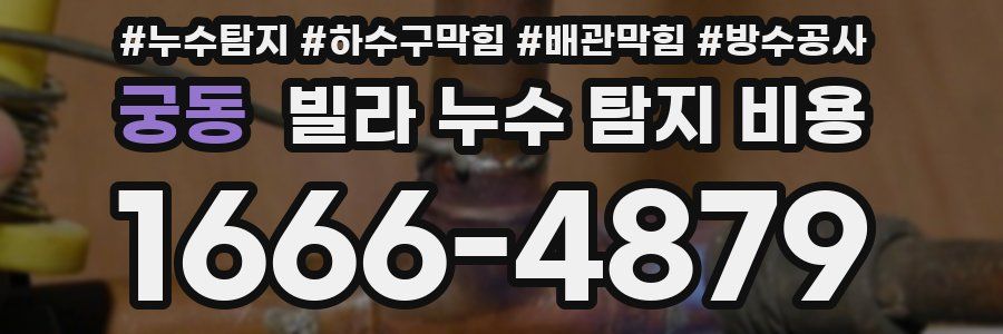 궁동 빌라 누수 탐지 비용
