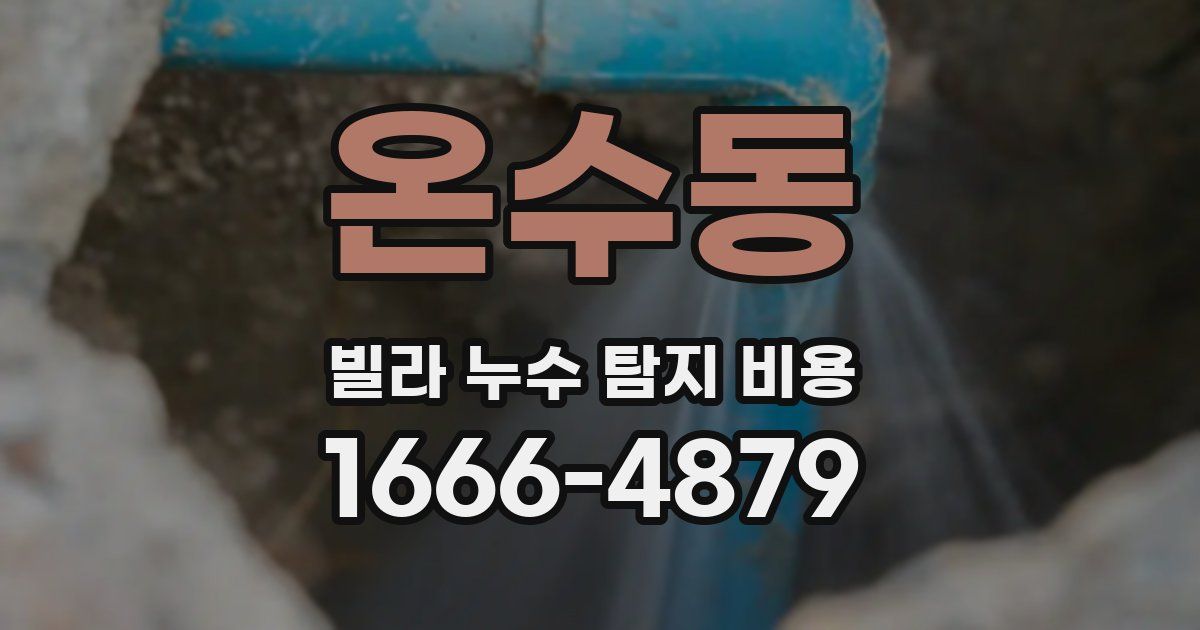 온수동 빌라 누수 탐지 비용