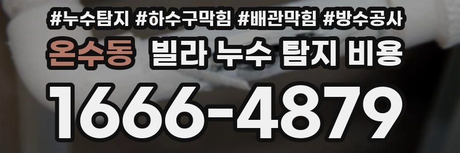 온수동 빌라 누수 탐지 비용