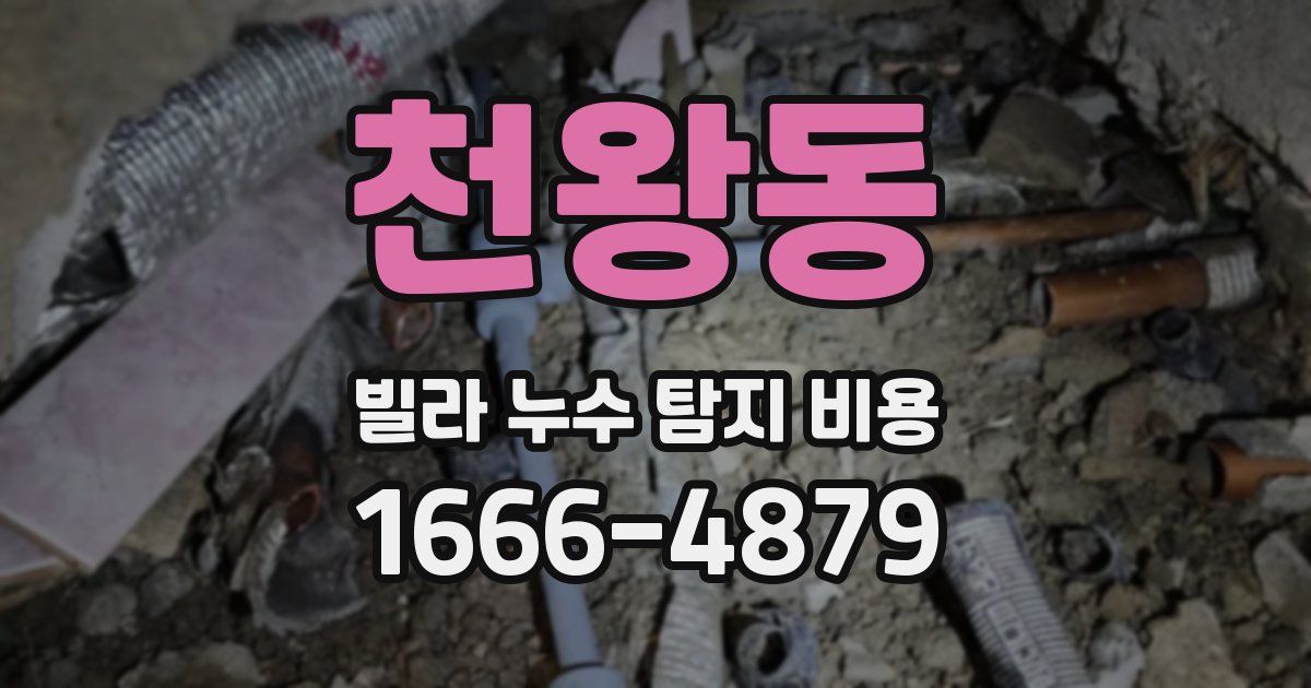 천왕동 빌라 누수 탐지 비용