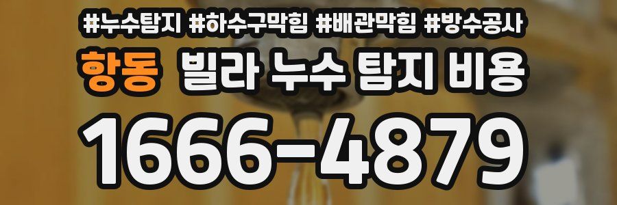 항동 빌라 누수 탐지 비용