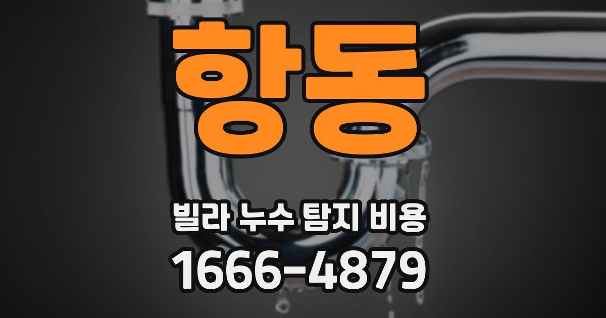 항동 빌라 누수 탐지 비용