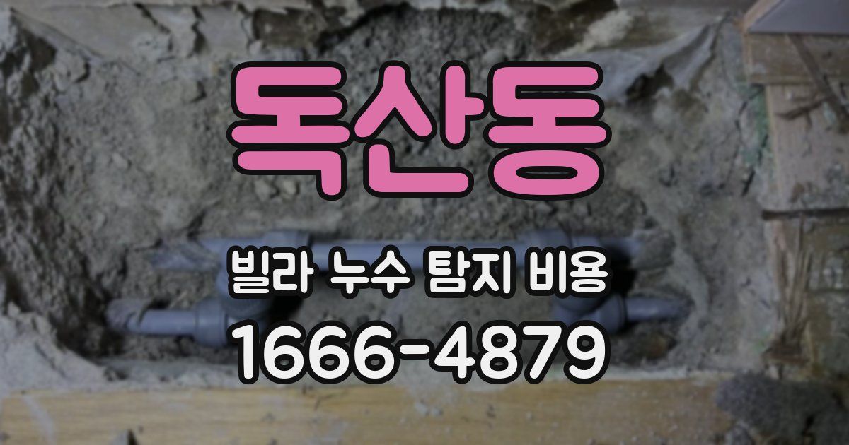 독산동 빌라 누수 탐지 비용