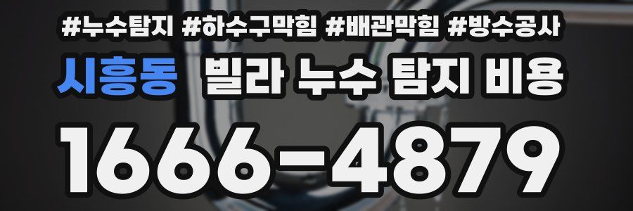시흥동 빌라 누수 탐지 비용
