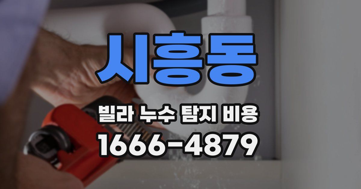 시흥동 빌라 누수 탐지 비용