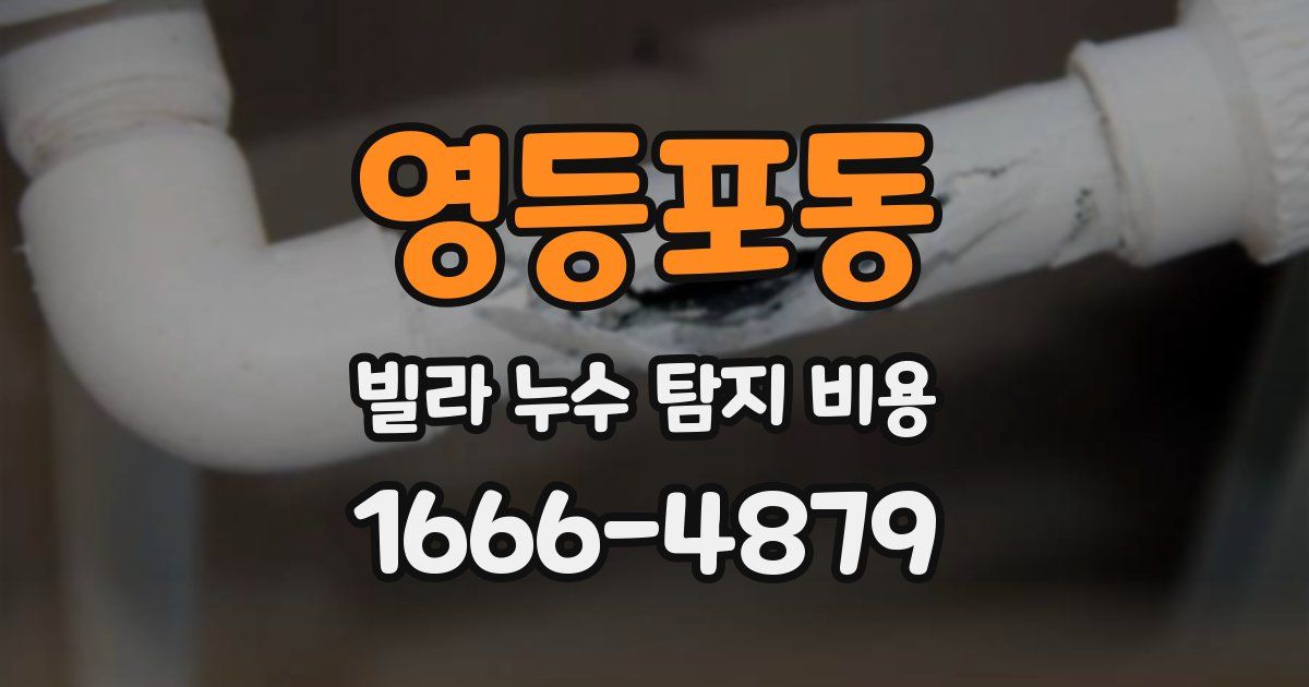 영등포동 빌라 누수 탐지 비용