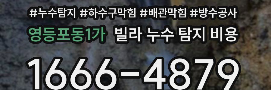 영등포동1가 빌라 누수 탐지 비용