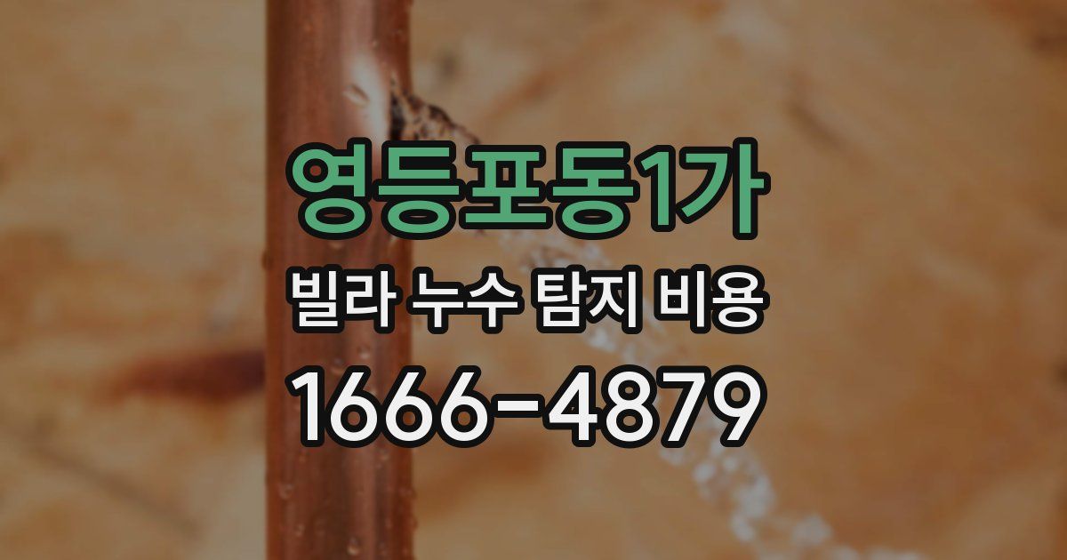 영등포동1가 빌라 누수 탐지 비용