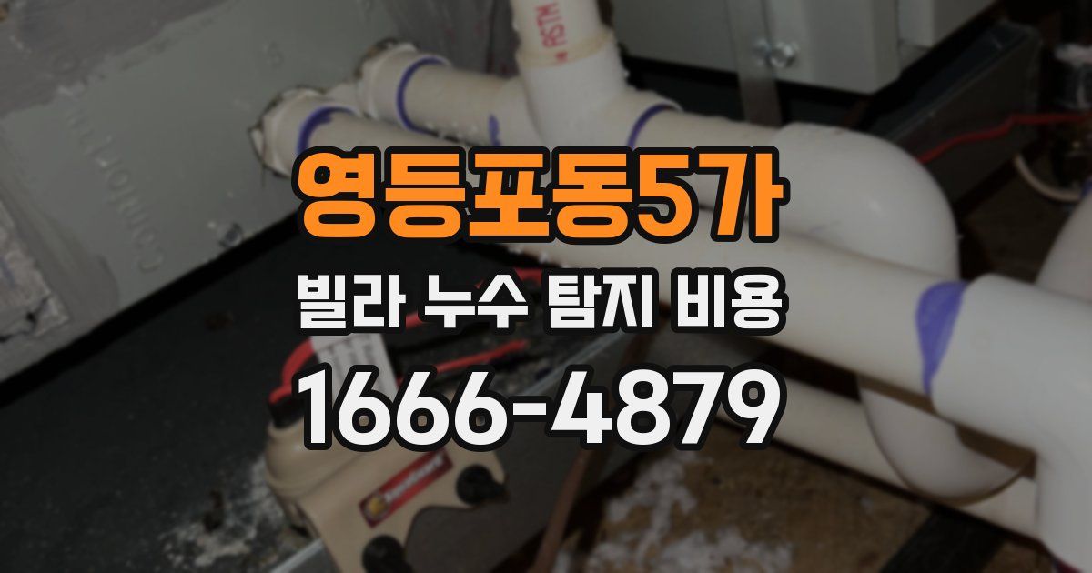 영등포동5가 빌라 누수 탐지 비용