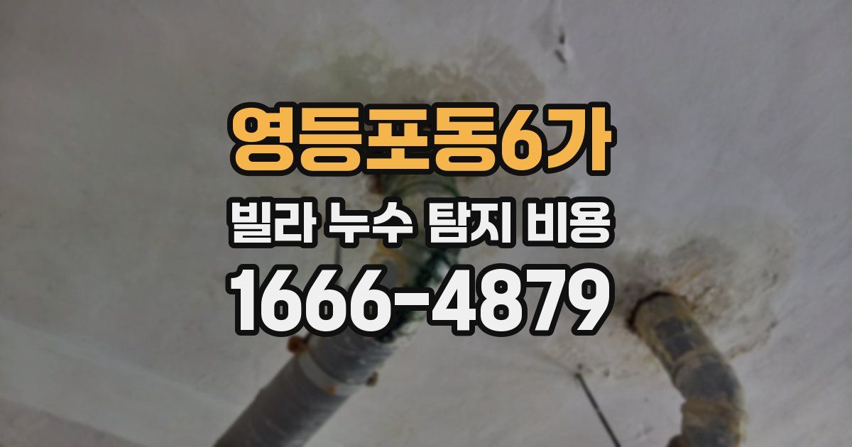영등포동6가 빌라 누수 탐지 비용