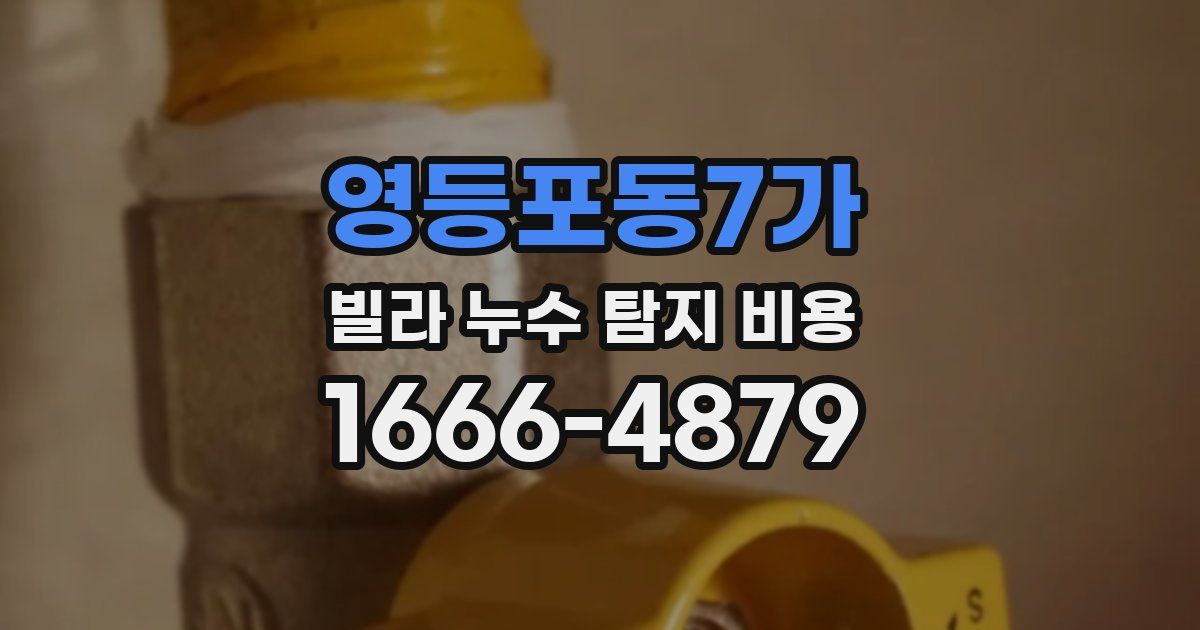 영등포동7가 빌라 누수 탐지 비용
