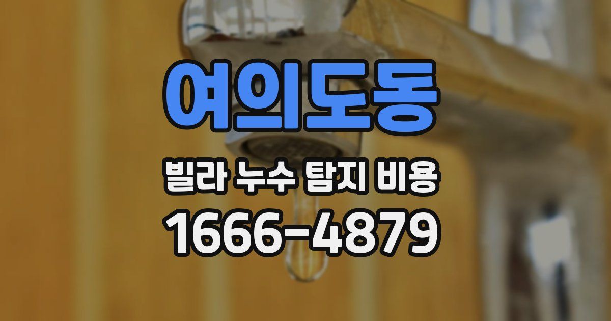 여의도동 빌라 누수 탐지 비용