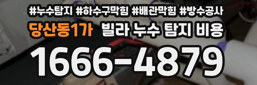당산동1가 빌라 누수 탐지 비용
