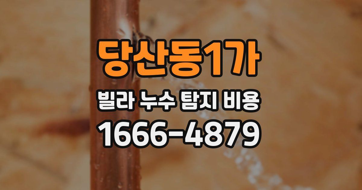 당산동1가 빌라 누수 탐지 비용
