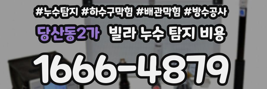 당산동2가 빌라 누수 탐지 비용