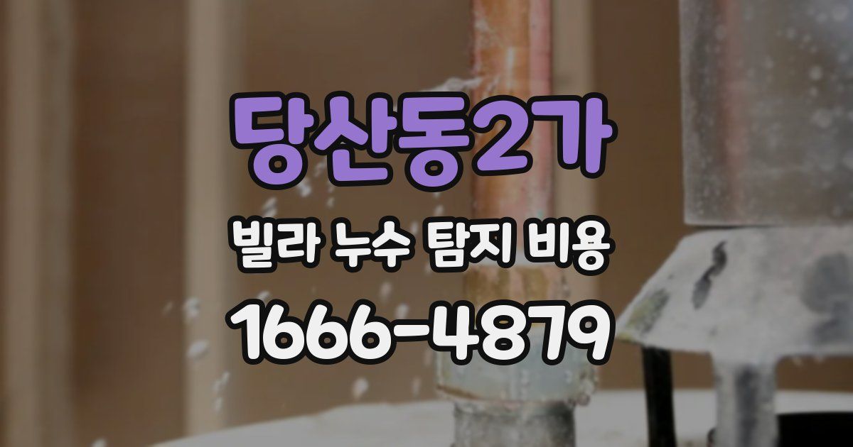 당산동2가 빌라 누수 탐지 비용