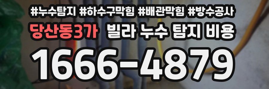 당산동3가 빌라 누수 탐지 비용