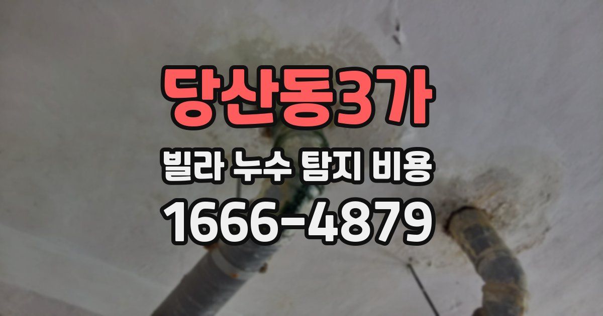 당산동3가 빌라 누수 탐지 비용
