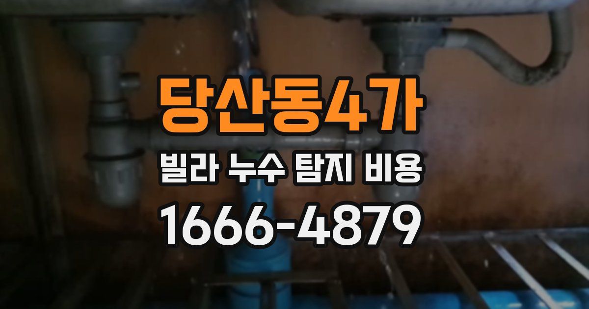 당산동4가 빌라 누수 탐지 비용