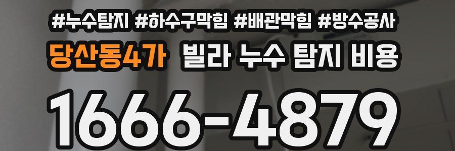 당산동4가 빌라 누수 탐지 비용