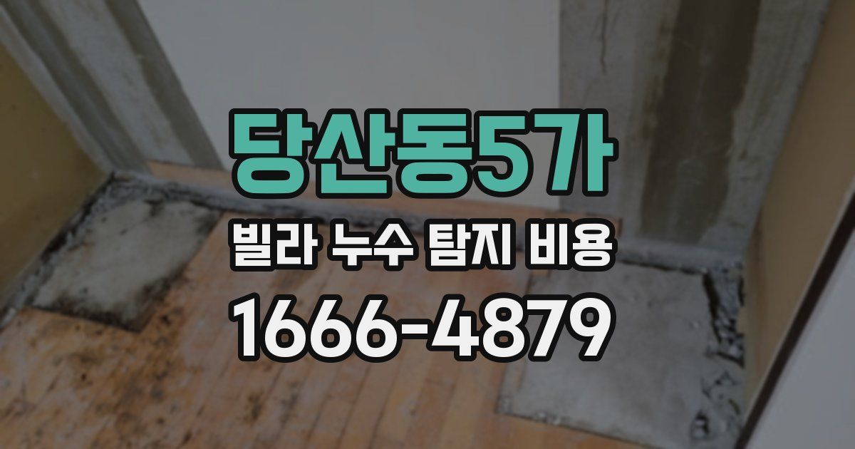 당산동5가 빌라 누수 탐지 비용