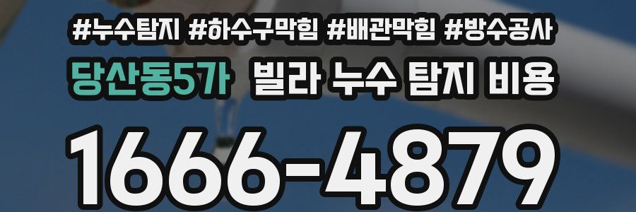 당산동5가 빌라 누수 탐지 비용