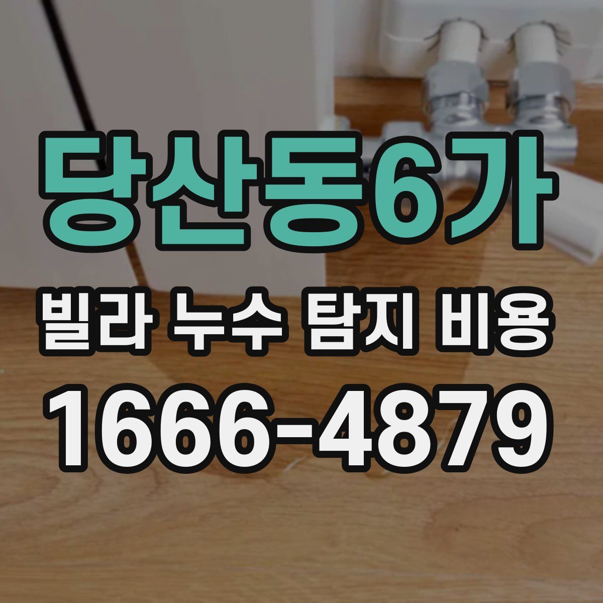 당산동6가 빌라 누수 탐지 비용