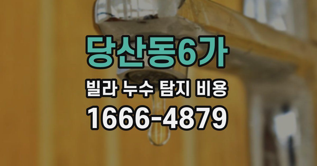 당산동6가 빌라 누수 탐지 비용